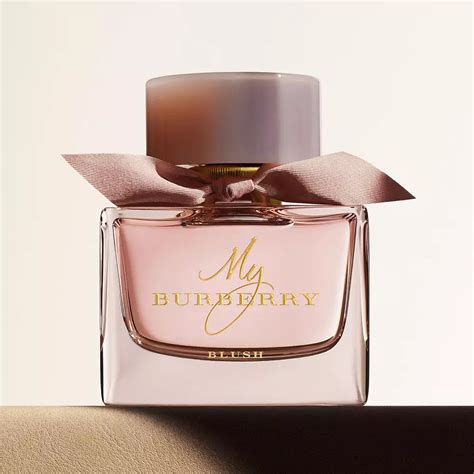 best burberry women's perfume|best smelling women's burberry perfume.